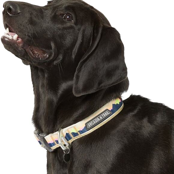 Arcadia Trails Adjustable Medium Dog Collar Tan Blue Mountain Print Buckle Close - Picture 1 of 3